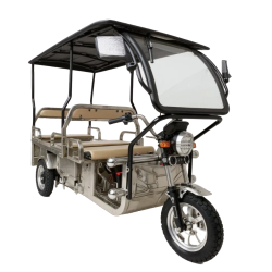 E-Power Max